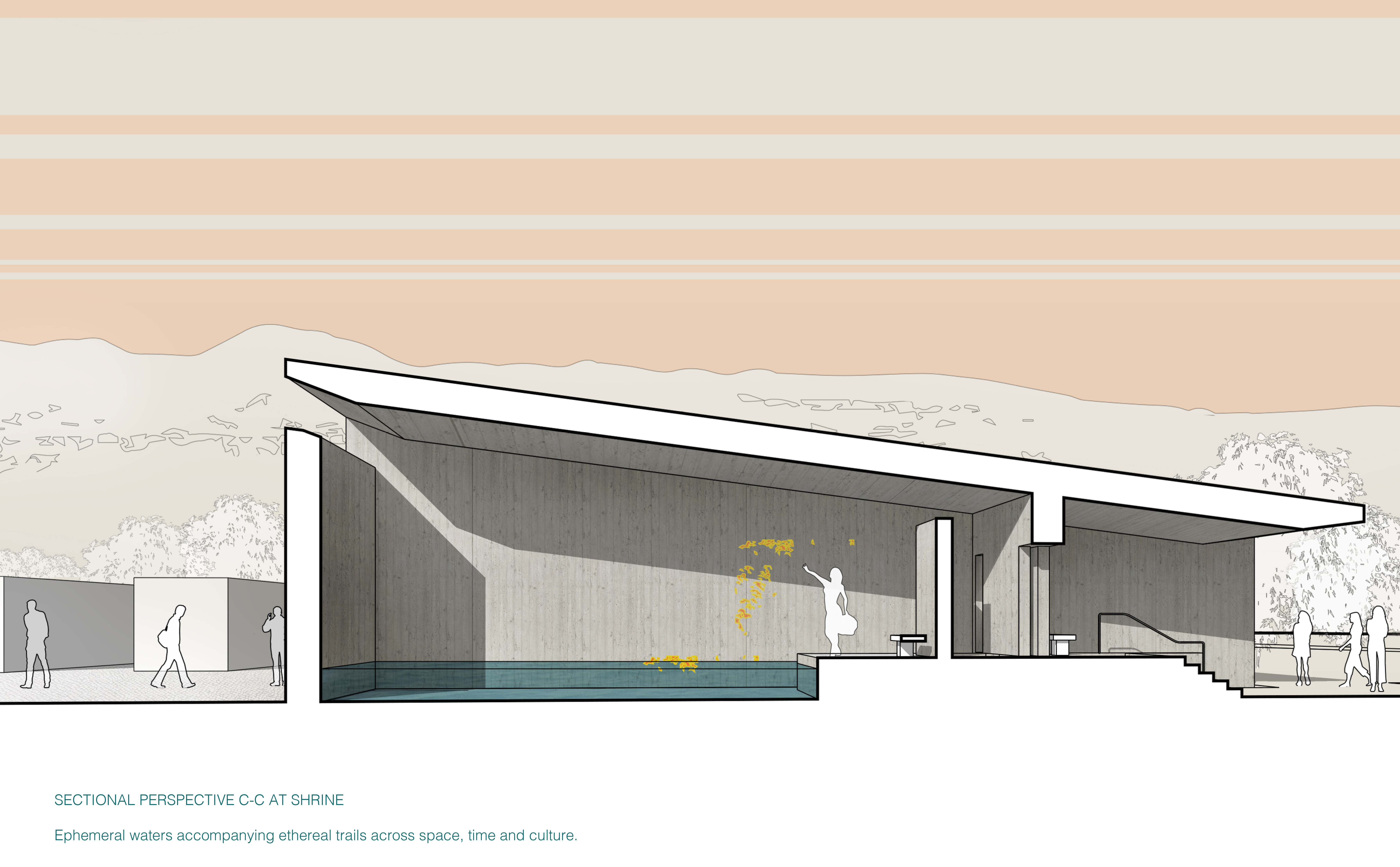 architectural drawing of the side view of a building with an indoor pool