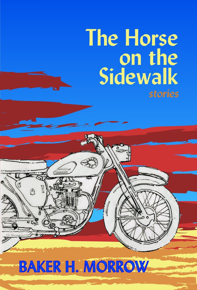 The horse on the sidewalk book cover