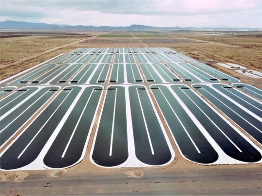 ovular water farms in the desert